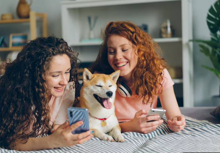 What Your Pet Wishes You Knew (But Can’t Say!) - Petgrove Online