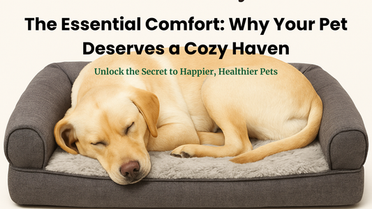 The Essential Comfort: Why Your Pet Deserves a Cozy Haven - Petgrove Online