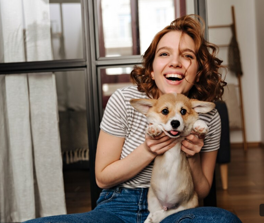 5 Simple Ways to Make Your Pet’s Day Extra Special - Petgrove Online