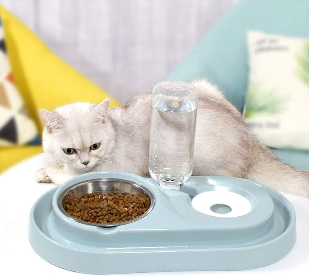 Spill-proof cat dog bowl Feeding Station – Auto Water Dispenser for Dogs & Cats