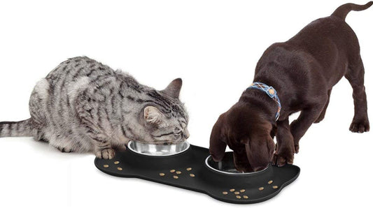 24oz Stainless Steel Dog & Cat Bowl Set – Non-Spill Stainless Steel Pet Bowl Set