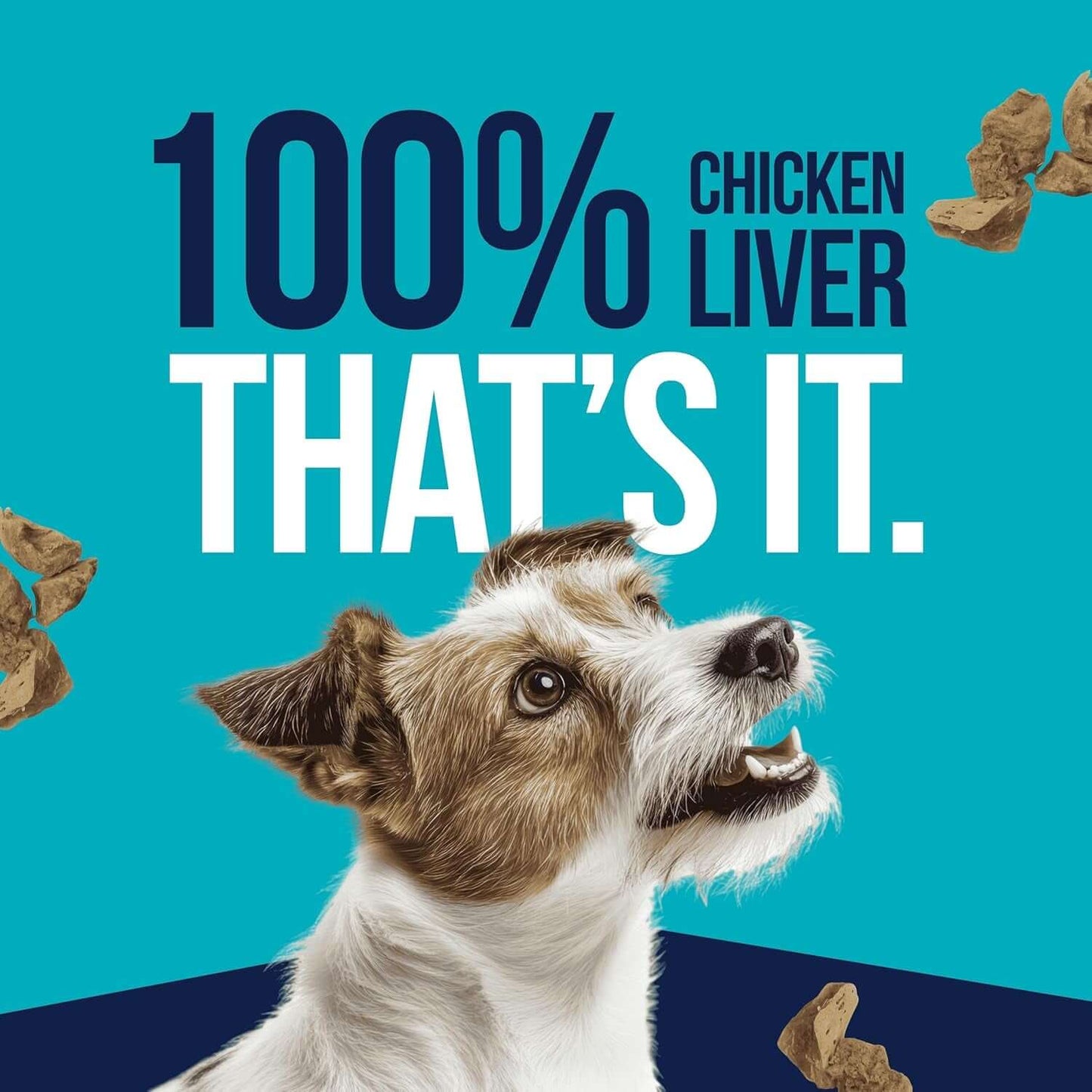 Pro-Treat Freeze-Dried Chicken Liver Dog Treats – 1.5 oz