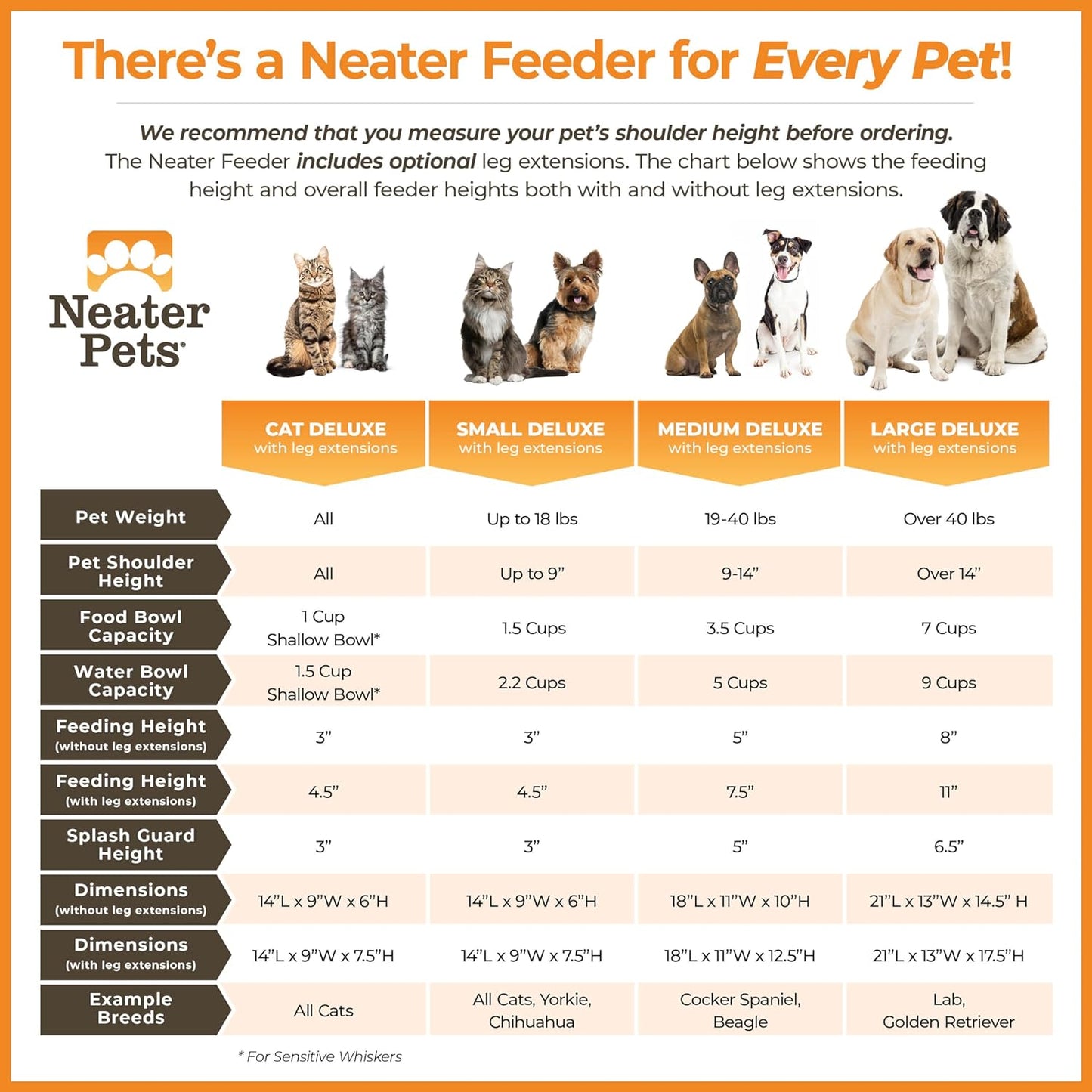 Large Elevated Spill-Proof Dog Bowl Set – Black Feeder with Stainless Steel Bowls (USA Made) - Petgrove Online