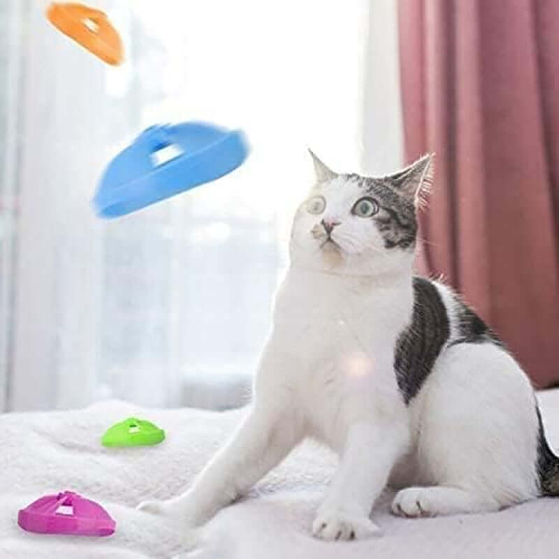 3pcchaser toys for indoor cats– Blue Chaser & Swat Toys for Kittens