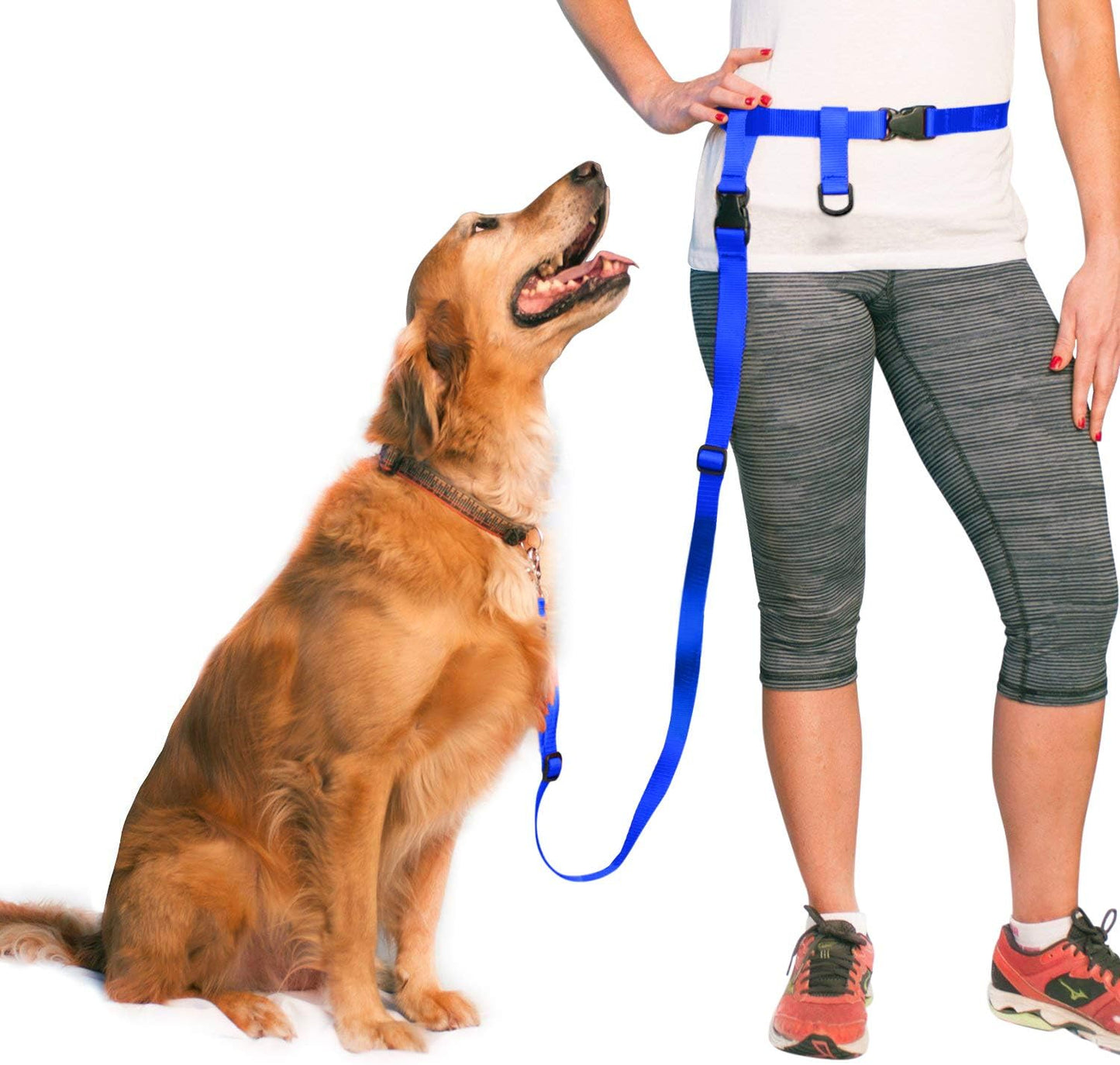 Hands-Free Running Dog Leash – Bungee Training Leash with Waist Belt Royal Blue Large Belt (27"- 50" Waist)
