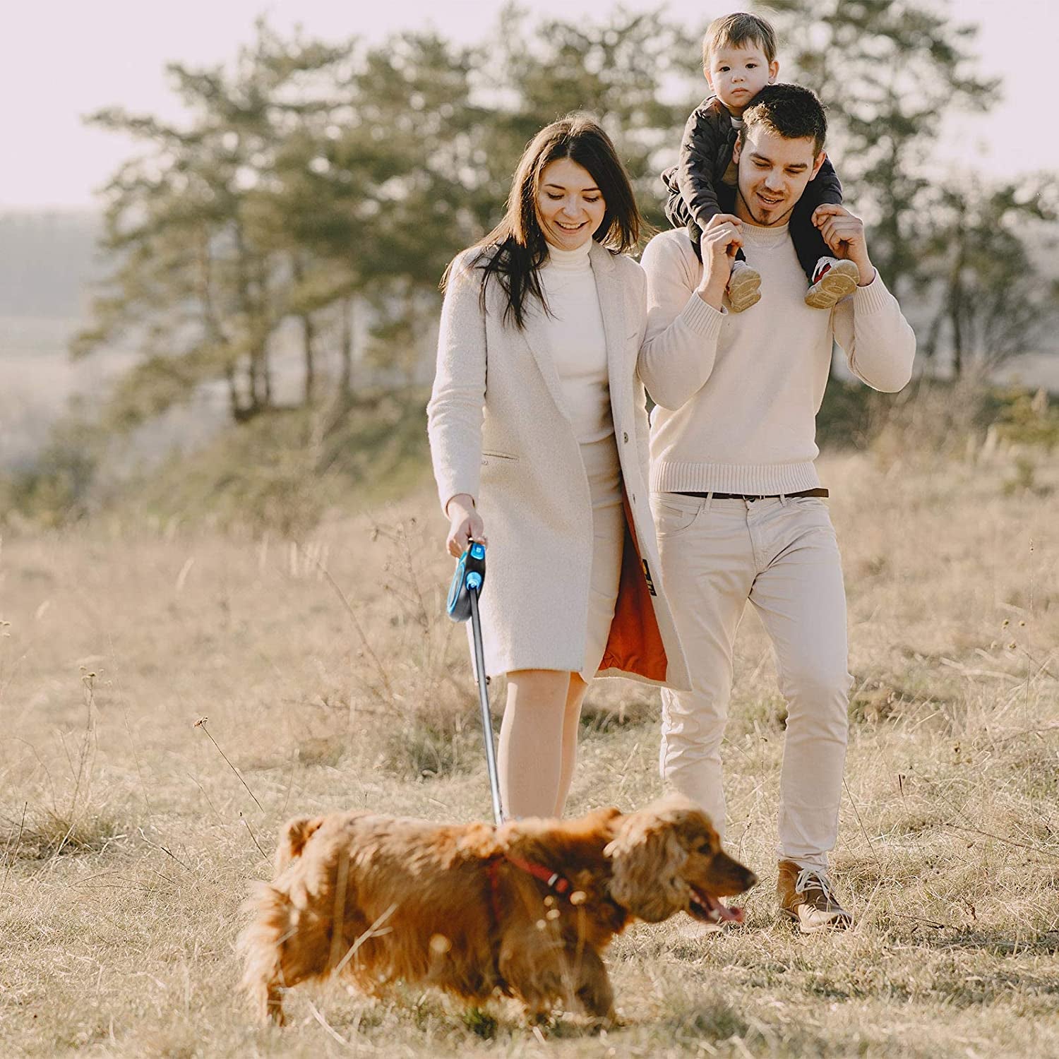 26ft Heavy-Duty Retractable Dog Leash – Tangle-Free with One-Hand Lock