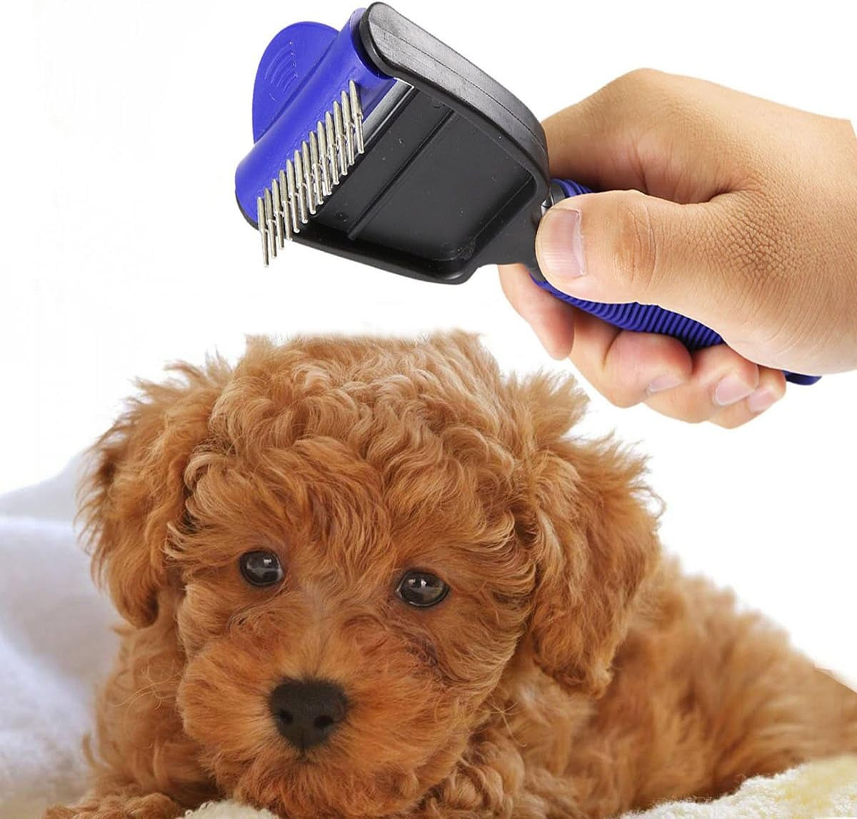 Heavy-Duty Deshedding Rake – Grooming Tool for Dogs, Cats & Horses