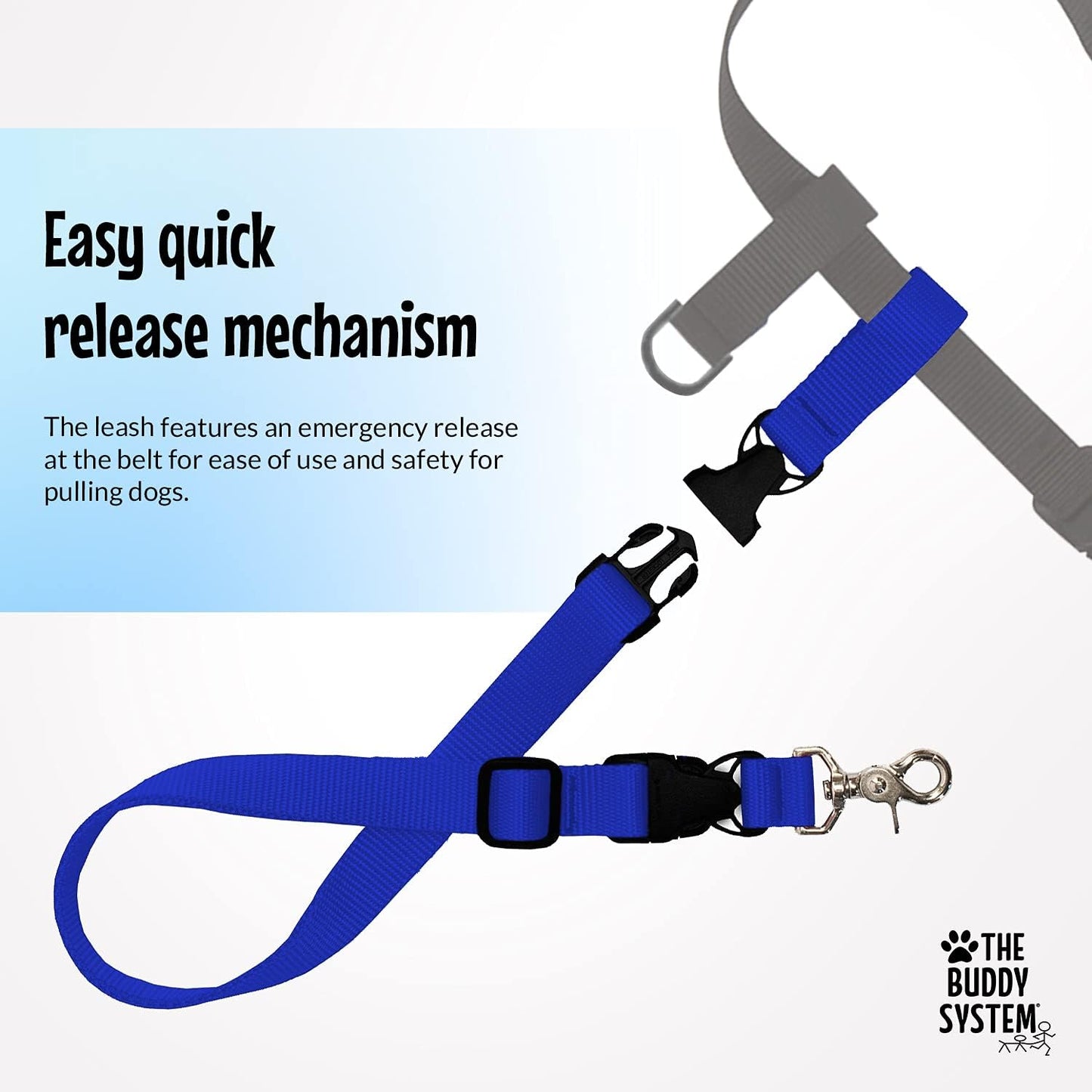 Hands-Free Running Dog Leash – Bungee Training Leash with Waist Belt