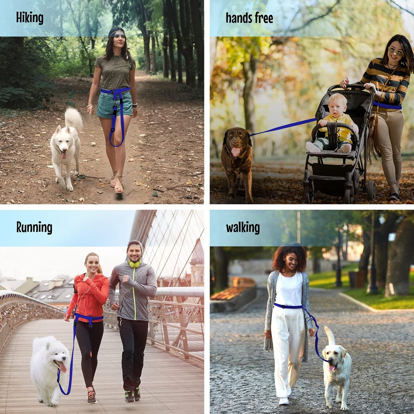 Hands-Free Running Dog Leash – Bungee Training Leash with Waist Belt