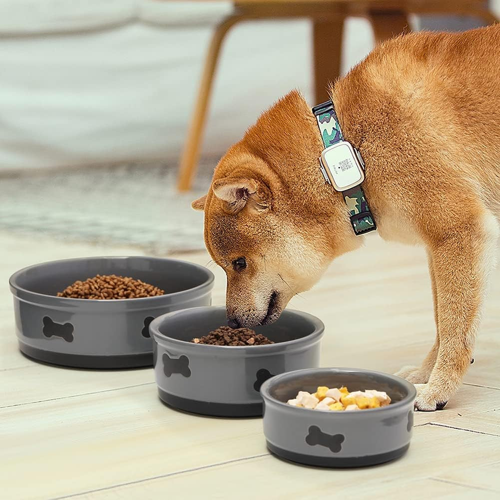 70oz Large Ceramic Dog Bowl – Gray Porcelain Feeding Dish with Bone Design