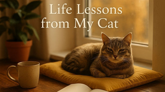 What I’ve Learned About Life from My Cat - Petgrove Online