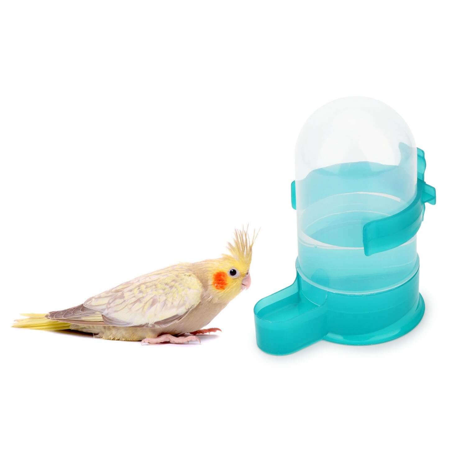 Automatic Hanging Bird Water Dispenser – Budgies, Parrots & Love Birds - Petgrove Online