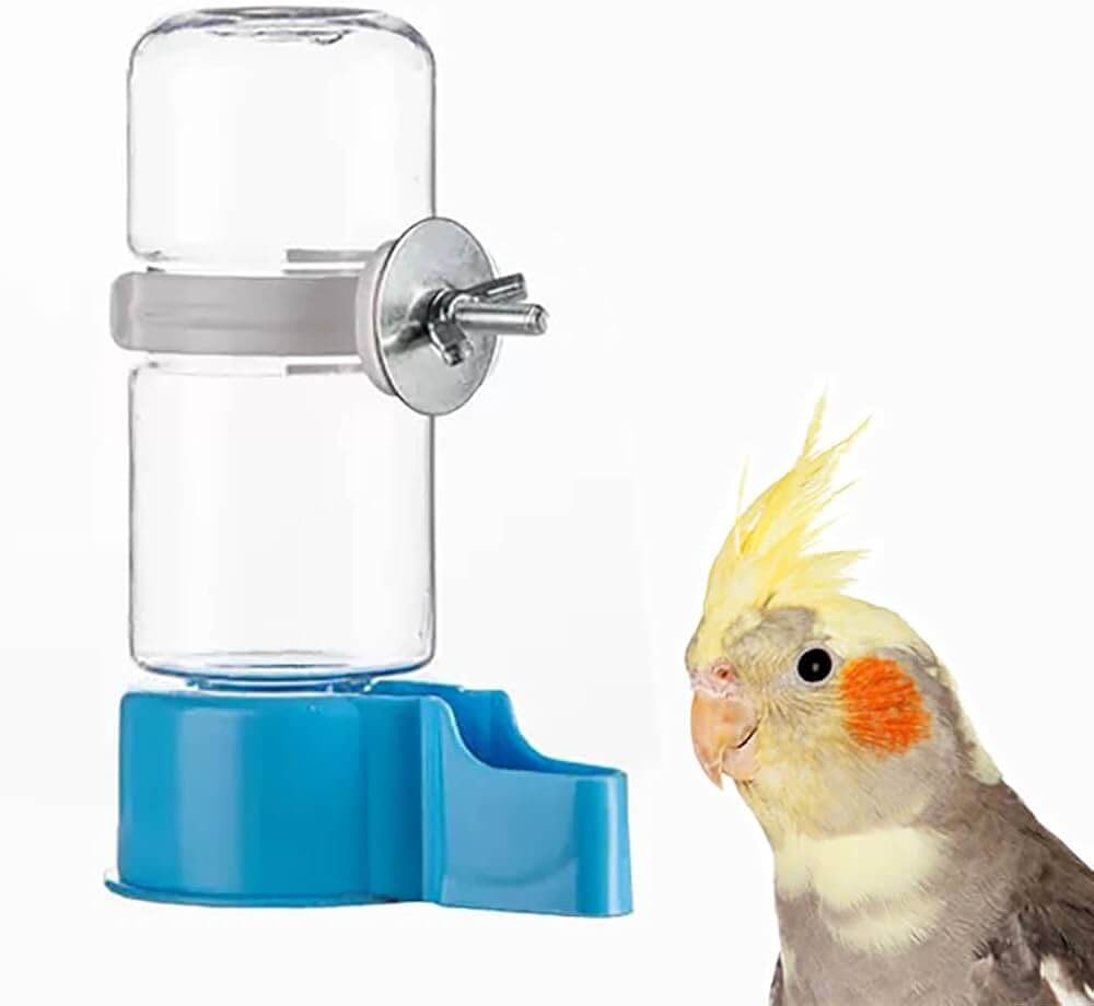 Automatic Hanging Bird Water Dispenser – Budgies, Parrots & Love Birds - Petgrove Online