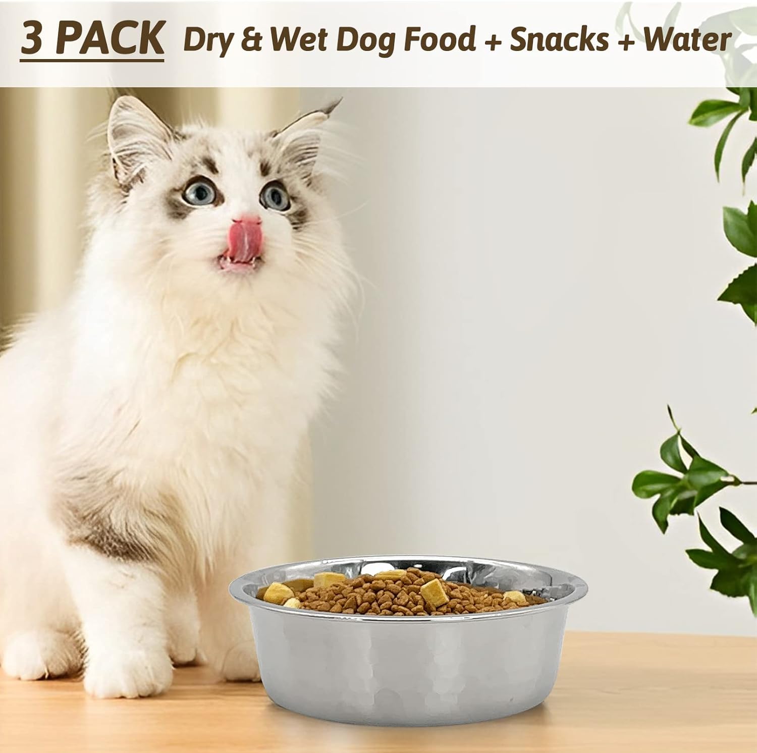 3 Pack Hammered Stainless Steel Cat Bowls, 2 Cups/16 Oz Premium Metal Puppy Feeder Bowl Set for Raised Feeding Station Basic Kitten Food & Water Dishes for Small & Medium Pets Dishwasher Safe