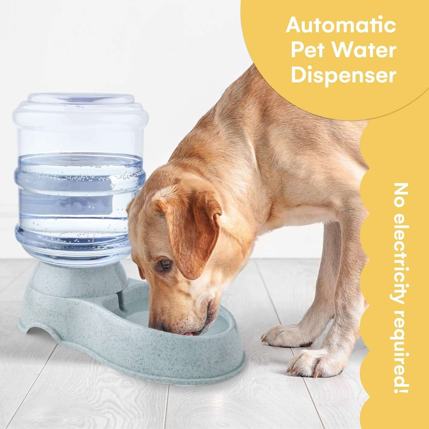 Automatic Pet Feeder & Water Dispenser – 1.3 Gallon, Spill-Free Design