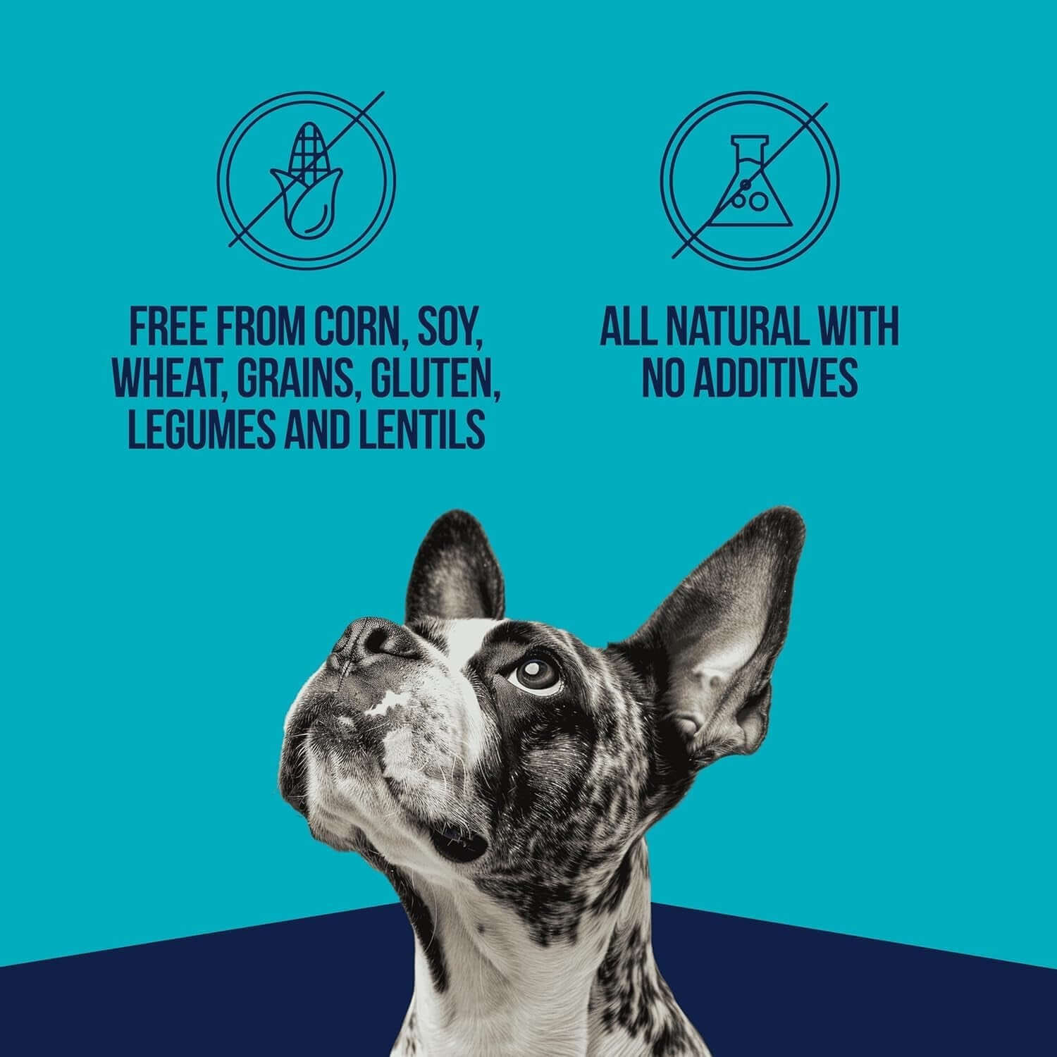 Pro-Treat Freeze-Dried Chicken Liver Dog Treats – 1.5 oz