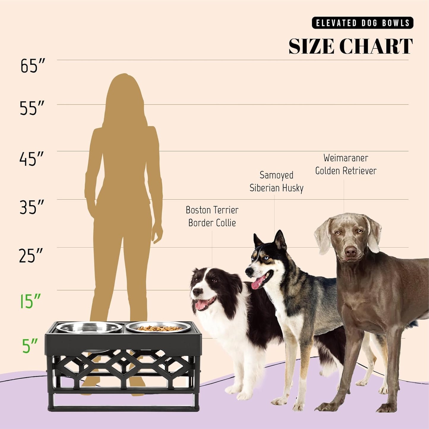 Elevated Dog Bowls-4 Height Adjustable Stand for Medium and Large Dogs, Raised Dog Feeder Holder with 2 Stainless Steel Food and Water Bowls, Anti-Slip Base Tall Feeding Station