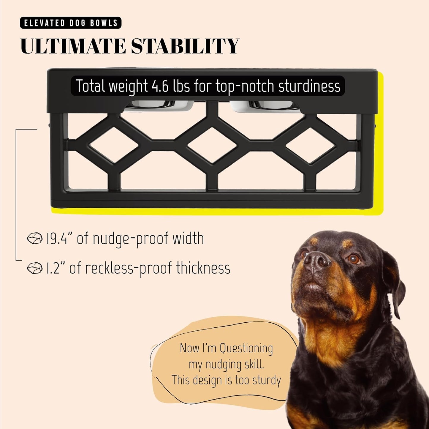 Elevated Dog Bowls-4 Height Adjustable Stand for Medium and Large Dogs, Raised Dog Feeder Holder with 2 Stainless Steel Food and Water Bowls, Anti-Slip Base Tall Feeding Station