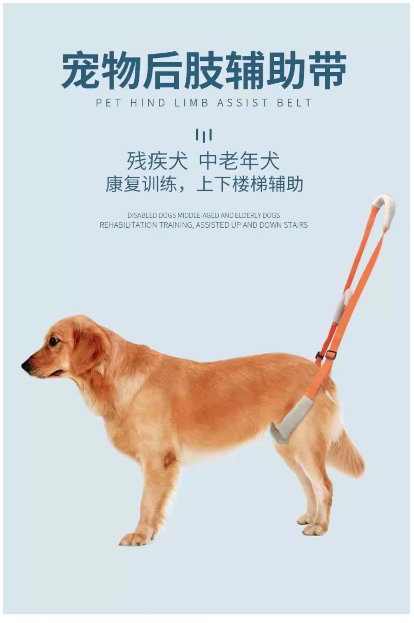 Rear-Leg Lift Support Sling for Senior Dogs – Mobility Aid Harness