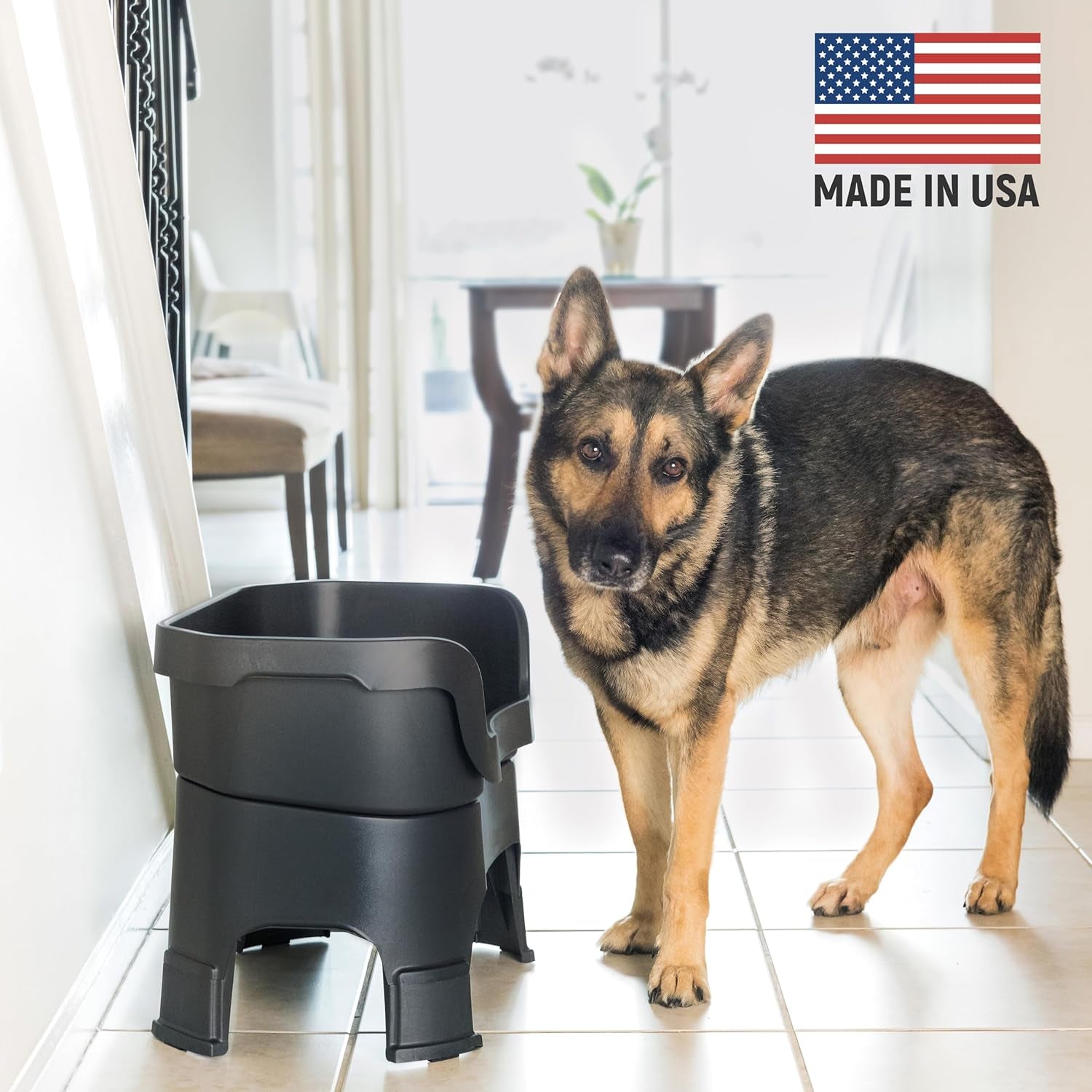Large Elevated Spill-Proof Dog Bowl Set – Black Feeder with Stainless Steel Bowls (USA Made) - Petgrove Online