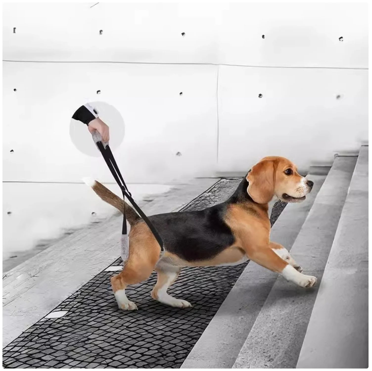 Rear-Leg Lift Support Sling for Senior Dogs – Mobility Aid Harness