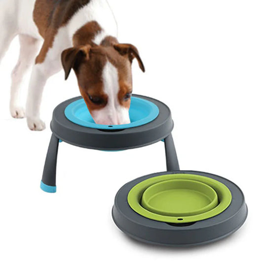 Popware for Pets – Foldable Elevated Feeder for Small Dogs & Cats (Gray/Green)