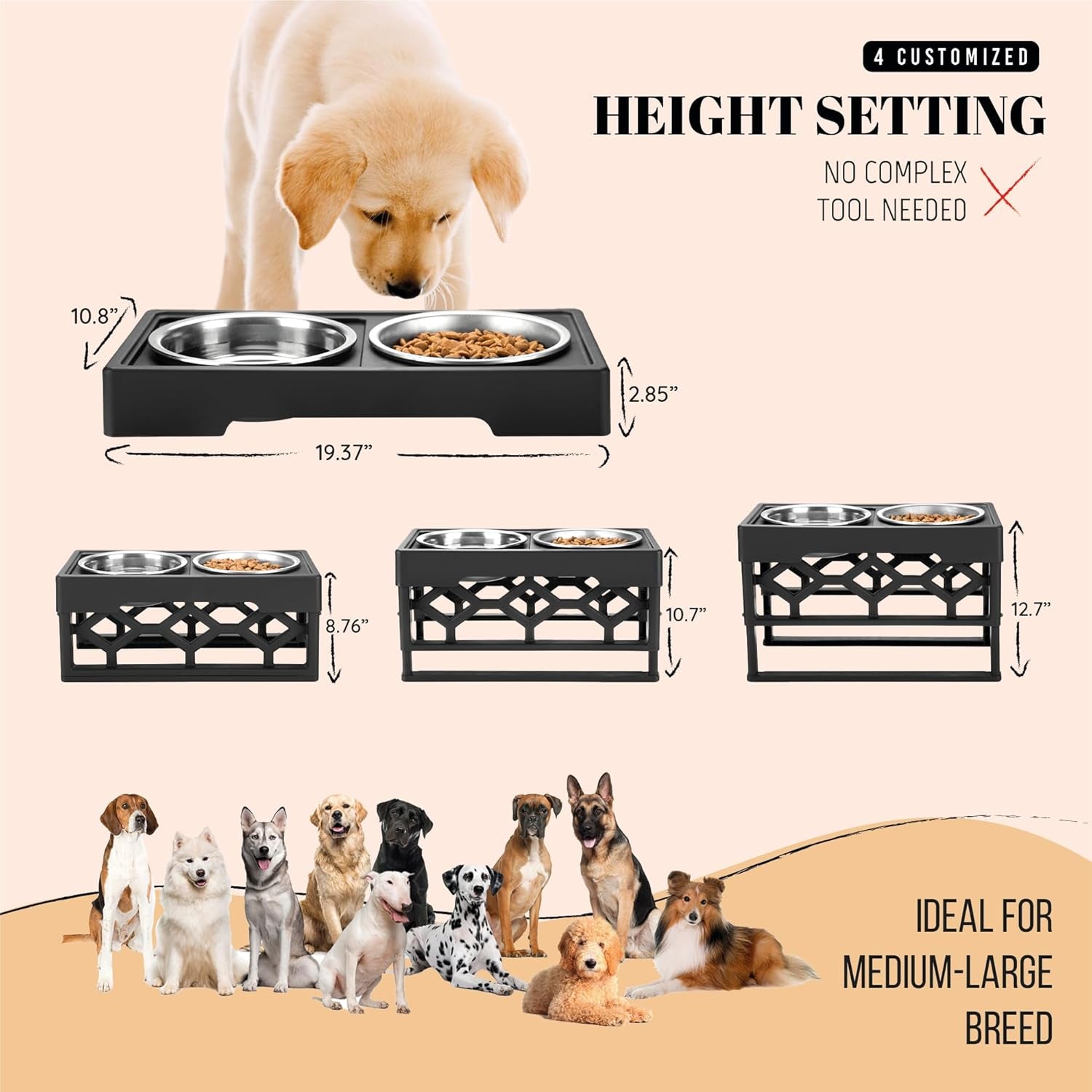 Elevated Dog Bowls-4 Height Adjustable Stand for Medium and Large Dogs, Raised Dog Feeder Holder with 2 Stainless Steel Food and Water Bowls, Anti-Slip Base Tall Feeding Station