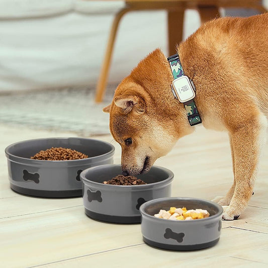70oz Large Ceramic Dog Bowl – Gray Porcelain Feeding Dish with Bone Design