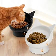 Slanted Ceramic Raised Cat Bowl – Elevated Pink Feeder for Food or Water - Petgrove Online